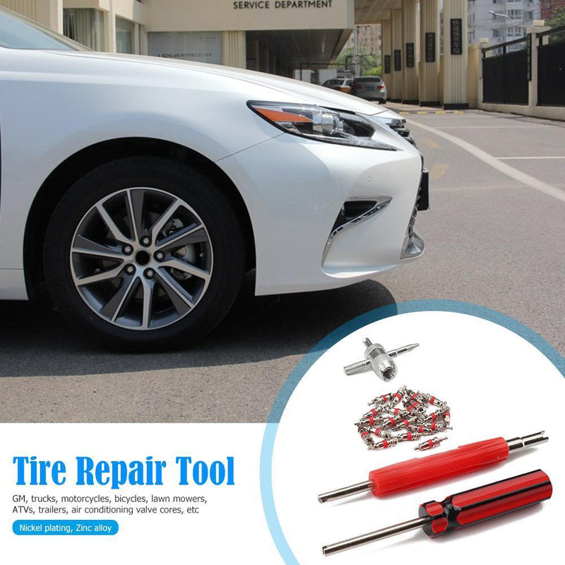 For Car Truck Motorcycle ATV 20pcs Valve Cores with Removers+4-Way Valve Tool