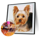 5D Diamond Painting Kit Yorkshire Terrier Full Square Drill DIY Art Craft Mosaic