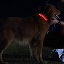Dog Cat Luminous Necklace Large Medium Small Dogs Anti Lost Harness Accessori