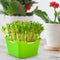 #A Greenhouse Plant Germination Nursery Pot Grow Box Planting Pot Box Bean Pea