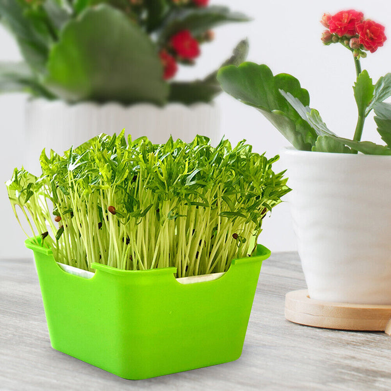 #A Greenhouse Plant Germination Nursery Pot Grow Box Planting Pot Box Bean Pea