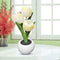 #A LED Simulation Tulip Flower Table Light Potted Atmosphere Night Lamp Gift