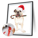 Christmas Puppy Oil Paint By Numbers DIY Coloring Picture for Adults Children