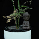 BlesiyaTraditional Little Buddha Statue Monk Tea Decoration Tea on W7H3