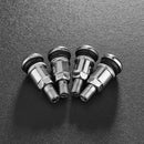 Bolt-in Stainless Steel Car Wheel Tire Valve Stems with Dust Caps (4pcs)