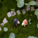 DIY Crafts Garden Bonsai Moss Tank Decor Ornaments Mini Turtles Fish Decoration