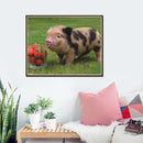 5D DIY Cute Pig Diamond Painting Embroidery Rhinestones Mosaic Cross Stitch