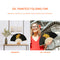 Flowers Folding Fan DIY Handmade Oil Paint By Numbers Craft Fans (Lily)