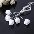 5pcs/set Baby Milk Teeth Storage Box Plastic False Teeth Organizer Case