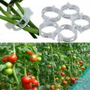Tomato Veggie Garden Plant Support Clips For Trellis Twine S4F4 hot.