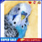 Parrot Oil Paint By Numbers Kits Canvas Drawing DIY Coloring Animal Picture
