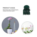 Graft Clamping Orchid Stem Clip Plant Clips Gardening Tool Vine Support Bundle