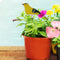 Soil Water Tester Bird Shape Flower Pot Moisture Sensor Farm Meter (Yellow)