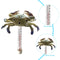 Floating Pool Thermometer Pool Accessories for Water Temperature (Crab)