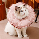 #A Cute Donut Shaped Pet Neck Collar Dog Cat Cone Recovery Healing Protection