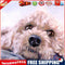 DIY Diamond Painting Kit Pet Dog Puppy 5D Full Round Rhinestone Art Picture
