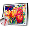 Colorful Flower Oil Paint By Numbers Kit DIY Acrylic Painting Frameless Drawi