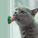 Cat Catnip Licking Candy for Kitten Increase Drinking Energy Ball Snack