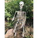 Halloween Props Skeleton Hanging Prop Haunted House Decor 75*20CM Haunted X0G4