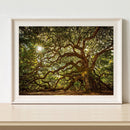 Full Round Drill Diamond Drawing Decor Tree Forest Landscape DIY Painting K