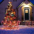 8pcs Solar Powered Christmas Candy Cane Lights Outdoor LED Home Garden Decor