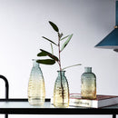 Hydroponics Flower Vase Hydroponics Flower Bottle Glass Vase Flower Bottle