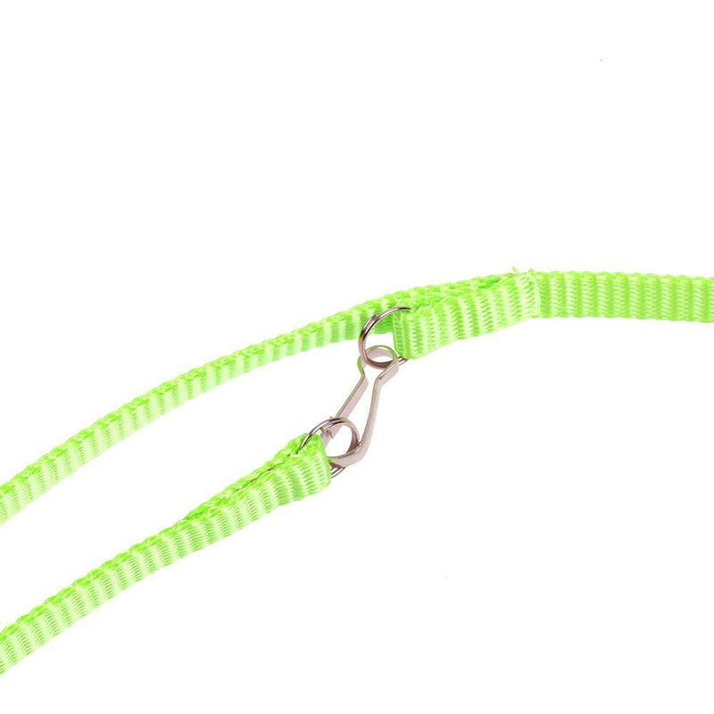 Turtle Lizard Traction RopeTraining Pets Walking Adjustable Leashes (Green