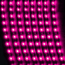 DC 12V Flexible Waterproof Car LED Light Strips Purple 30cm 15 LED SMD