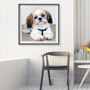 5D DIY Diamond Painting Cute Puppy Full Drill Rhinestone Mosaic Art Picture