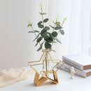 Triangle Rectangle Pentagram Heart Iron Art Glass Test Tube Hydroponic Vase