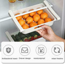 Refrigerator Food Egg Storage Racks Boxes Kitchen Fridge Organizers Drawer S2E7