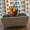 Artificial Agave Potted Plant Ornament Yard Art Home Garden Decor (TYU014A)