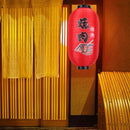 25cm Painting Lantern Japanese Style Fabric Hanging Restaurant Decor (B) Newly