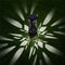 6pcs LED Solar Light Waterproof Hollow Lawn Stake Lamp Garden Decor (White)
