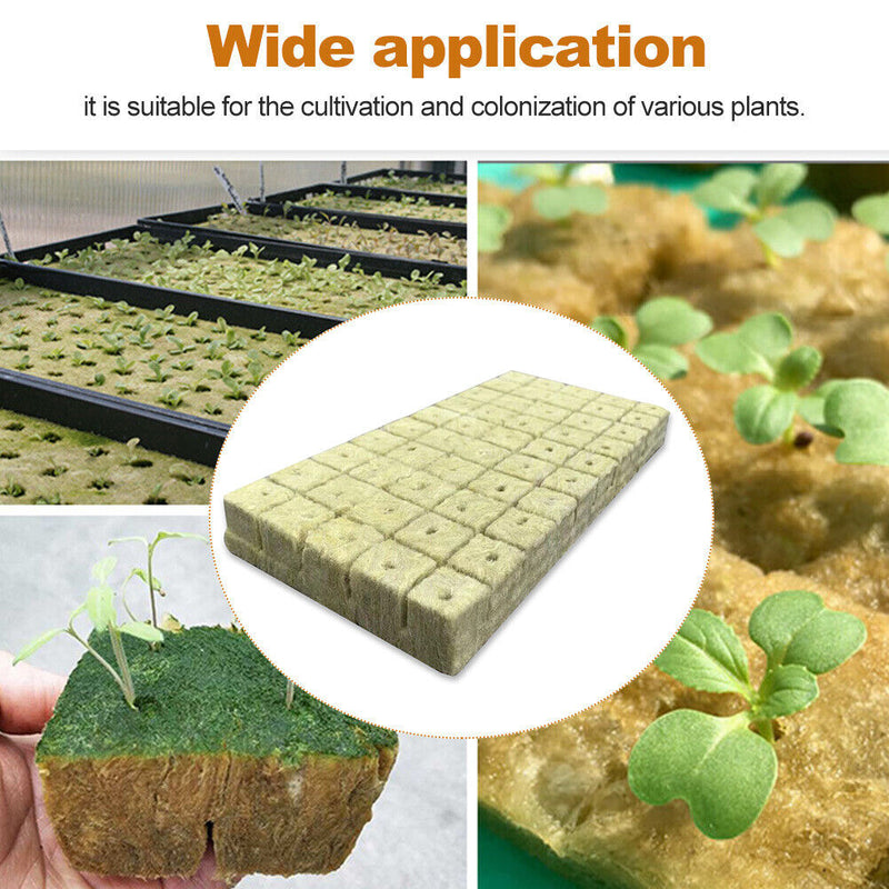 #A 50x Hydroponic Grow Agricultural Cubes Blocks Planting Soilless Cultivation