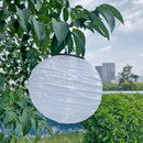 LED Solar Lantern Waterproof Outdoors Garden Yard Landscape Decor (White)
