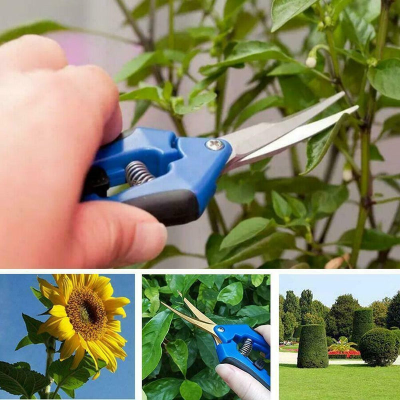 Trimming Scissors Bud Pruning Shears Plant Sharp TriAU10 Best G9G9
