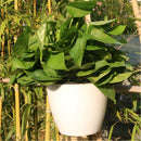 Stackable Lazy Creative Flower Pot Wall Hanging Planter Basket Garden Supplies