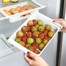 Refrigerator Food Egg Storage Racks Boxes Kitchen Fridge Organizers Drawer S2E7