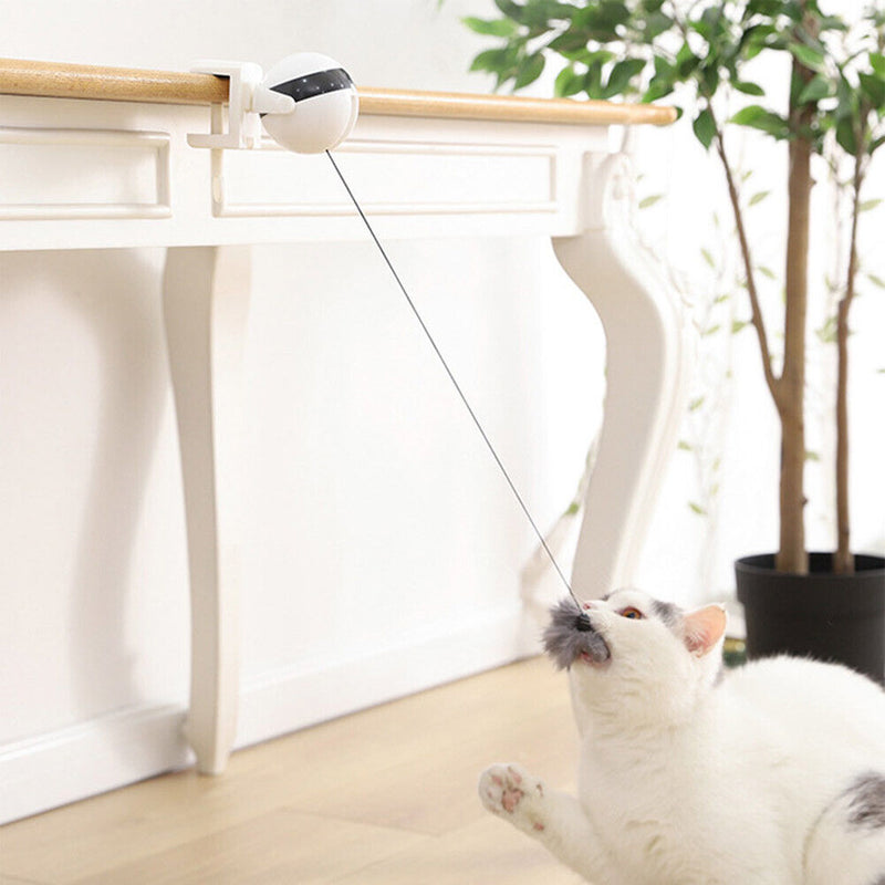 Electric Automatic Lifting Ball Cat Teaser Pet Puzzle Interactive Toys