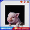 Pig and Mouse Oil Paint By Numbers DIY Handpainted on Canvas Wall Pictures