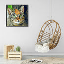 5D DIY Diamond Painting Kits Cat Full Round Drill Animal Decor Wall Crafts