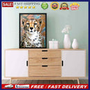 Snow Leopar DIY Diamond Painting Kits Full Round Drill Home Wall Decor