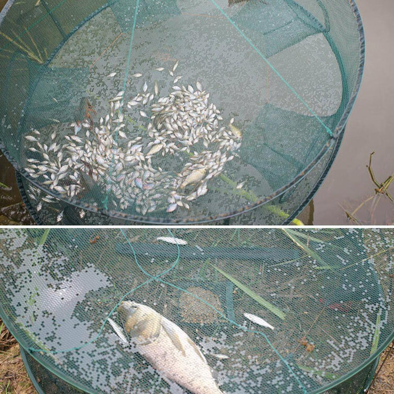 Automatic Fishing Net Trap Cage Round Shape Open For Crab I5J4 Lobster A5P5