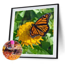 5D DIY Full Drill Diamond Painting Butterfly Embroidery Mosaic Craft Kit
