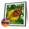 5D DIY Full Drill Diamond Painting Butterfly Embroidery Mosaic Craft Kit