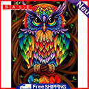 5D Diamond Painting DIY Colorful Owl Full Round Diamond Mosaic Art