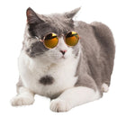Fashion Pet Glasses for Small Dogs Puppy Cat Sunglasses Photos Props Decor Newly