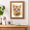 Cat Oil Paint By Numbers DIY Handpainted on Canvas Wall Art Picture Crafts