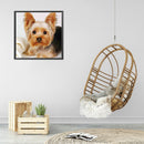 5D Diamond Painting Kit Yorkshire Terrier Full Square Drill DIY Art Craft Mosaic